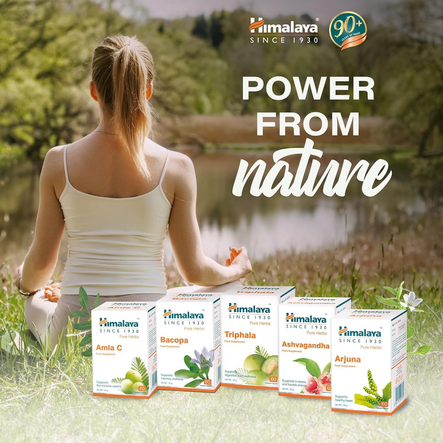 Himalaya Wellness Pure Herbs Amalaki Immunity Wellness
