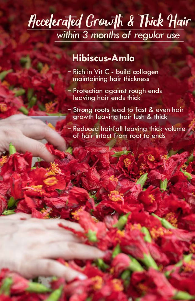 Nat Habit Hibiscus Amla Summer Hair Oil - 200 ml