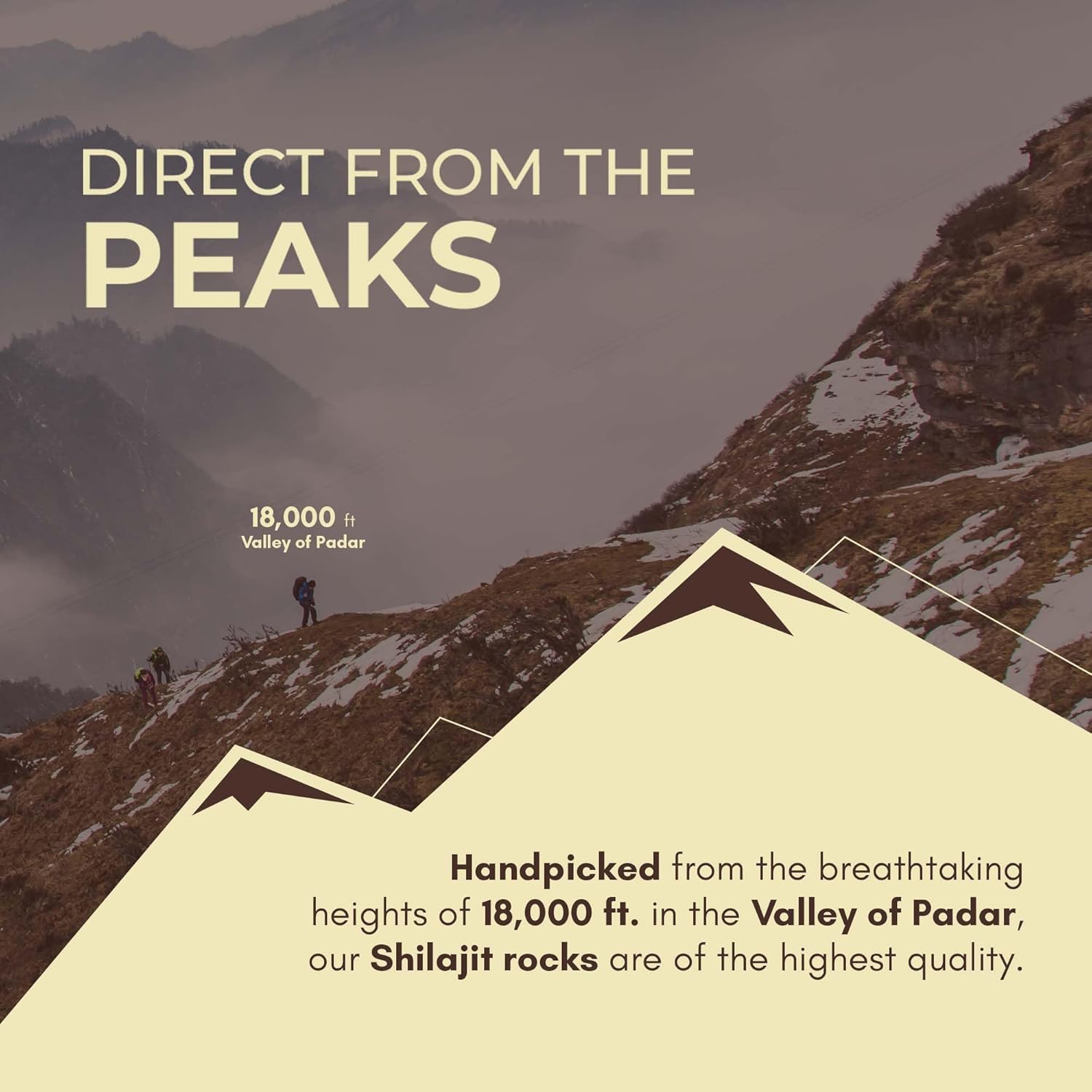 Rasayanam Pure Original Himalayan Shilajit/Shilajeet Resin 20g 