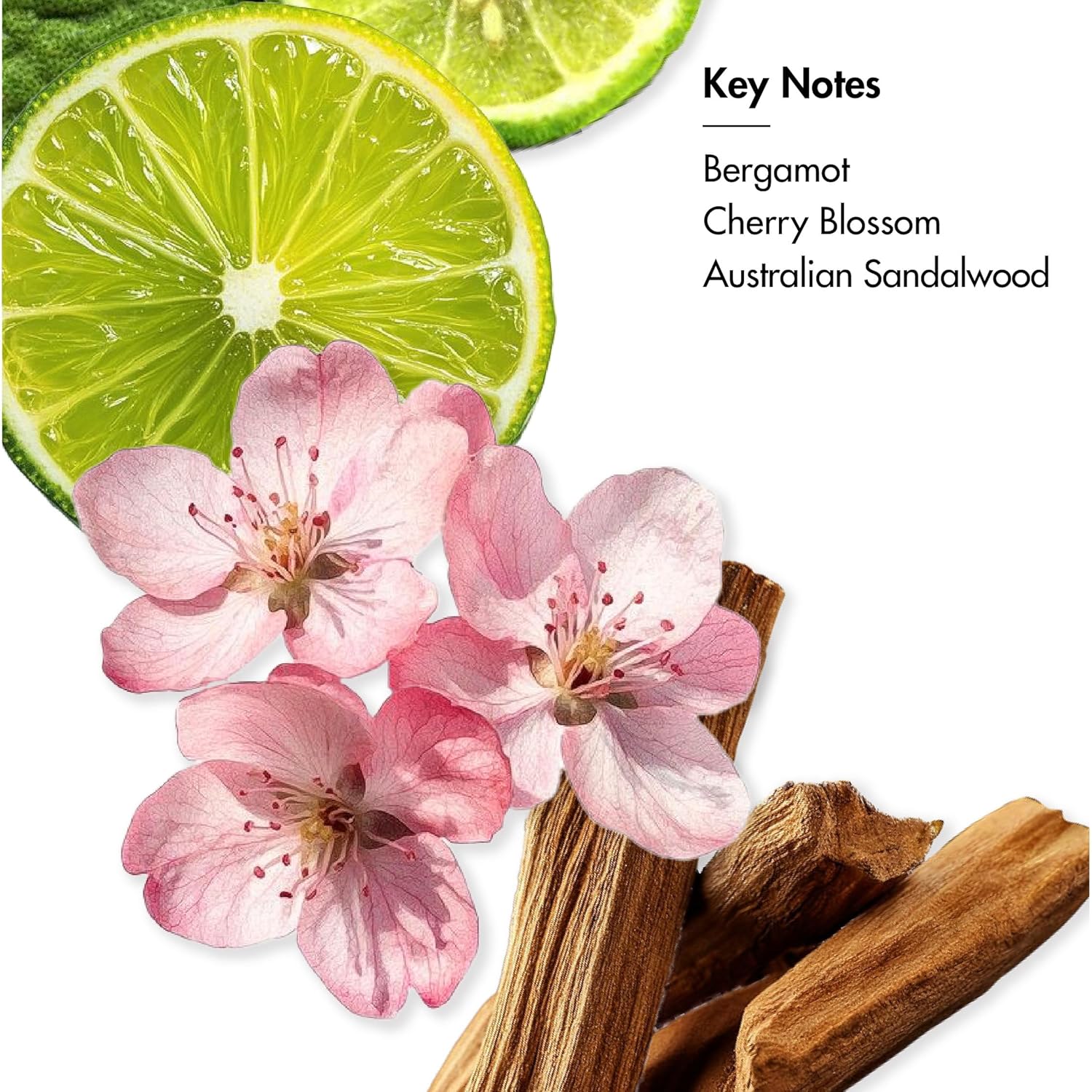 Secret Alchemist Bergamot Nostalgia EDP | 50ml Perfume 3