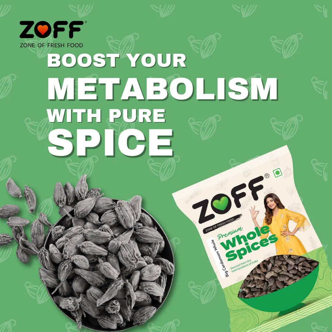 ZOFF Big Cardamom Whole - Badi Elaichi - 25g