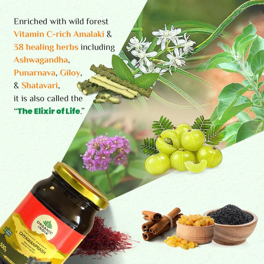 Organic India Organic Chyawanprash - 500 gm - Pack of 1