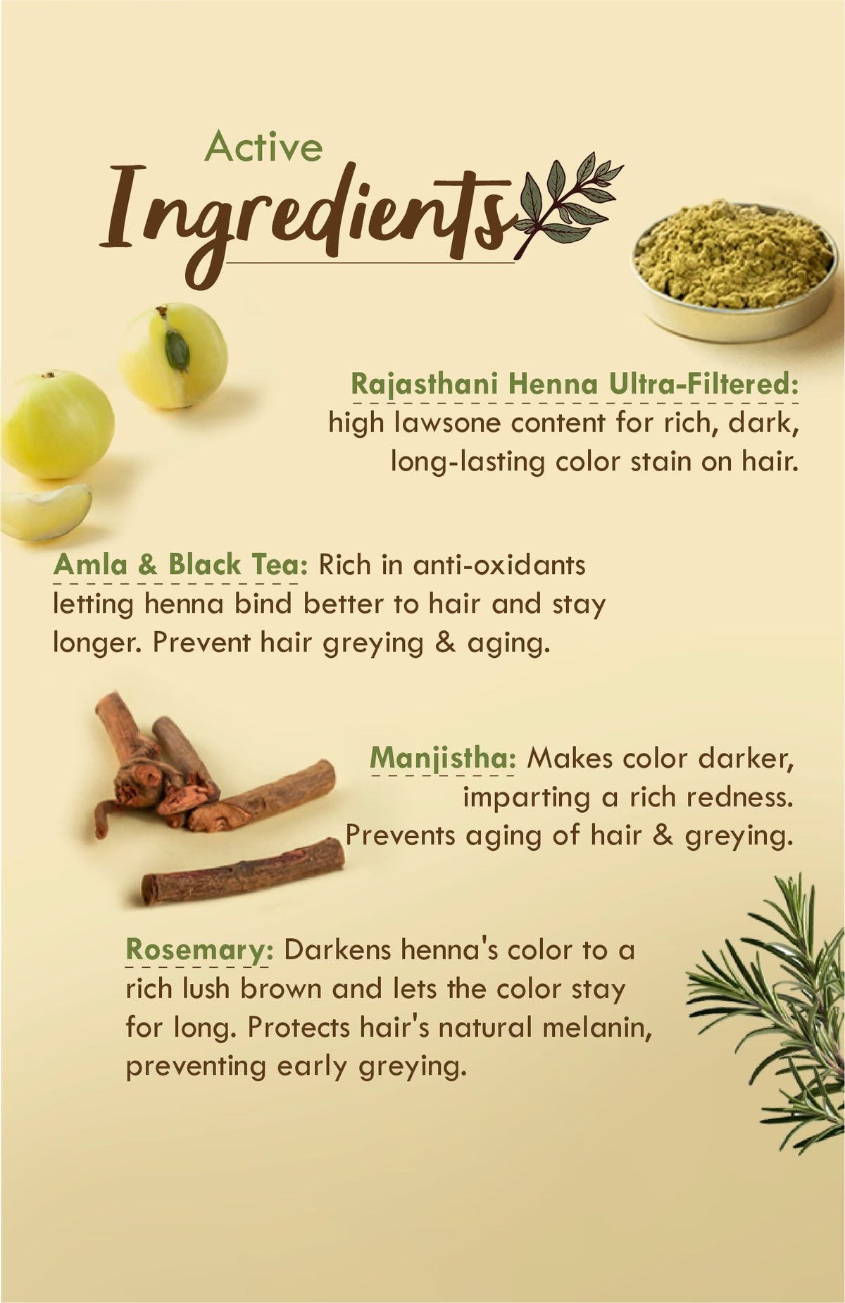Nat Habit Ready to Apply Fresh Henna Paste