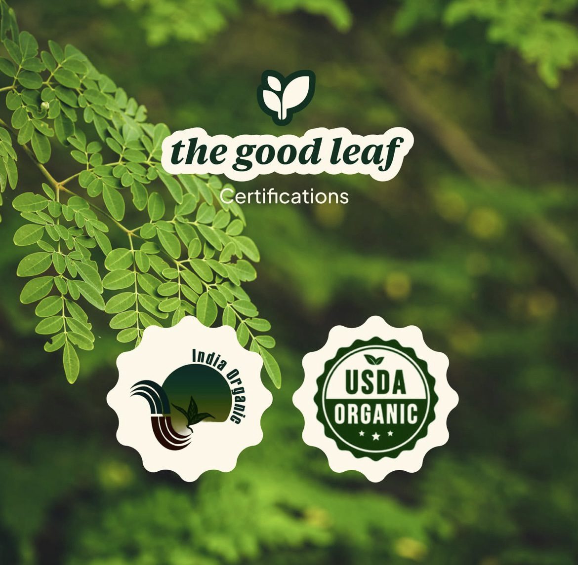 THE GOOD LEAF Moringa Rice Mix Powder 200 G