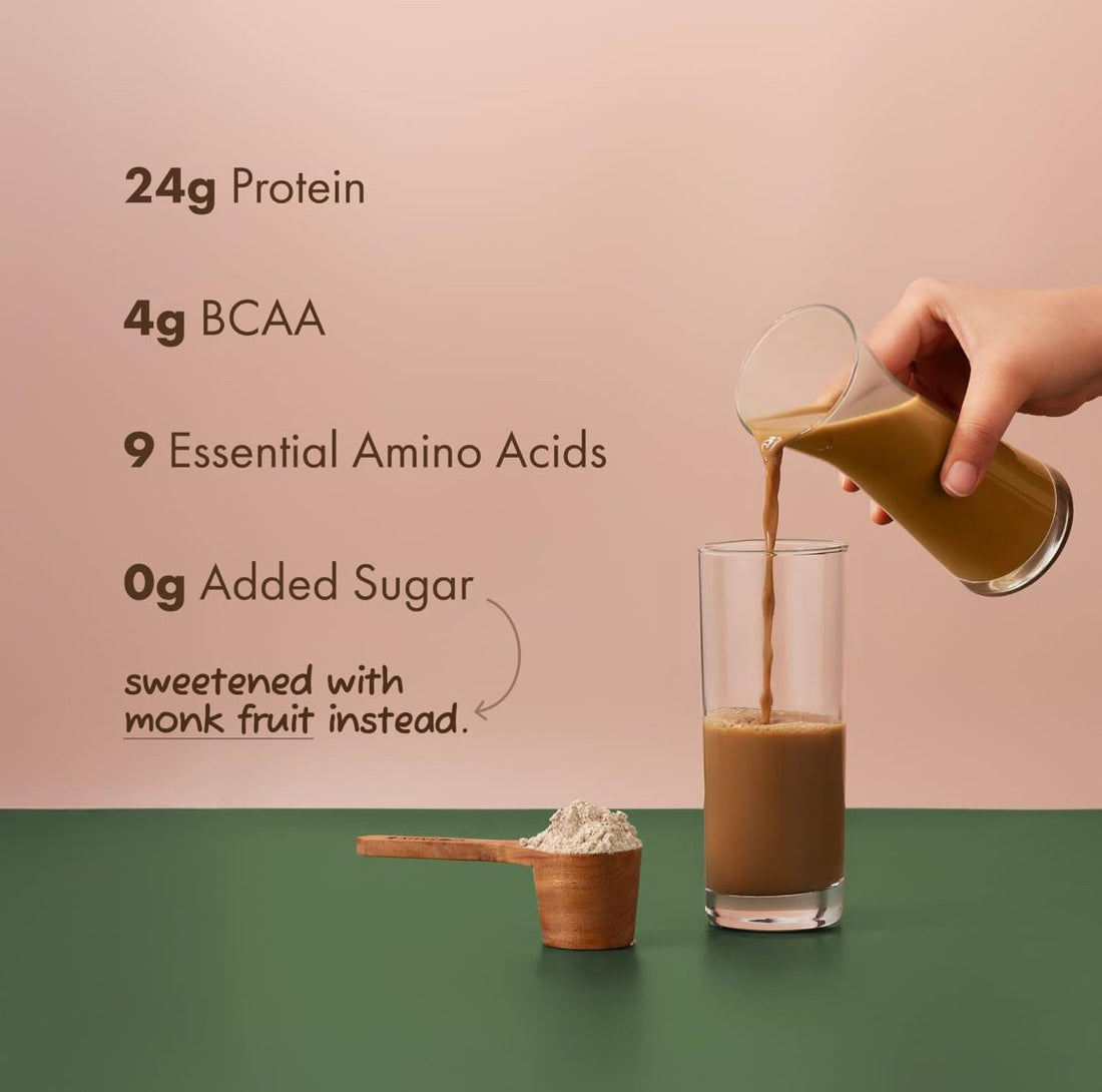 Cosmix No-Nonsense Plant Protein | 24g Protein/Serve | Malnad Arabica Coffee -500 G