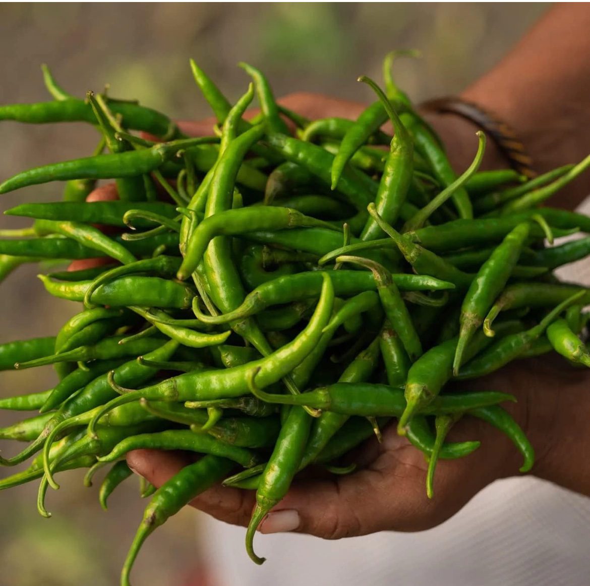 Two Brothers Organic Farms Spicy Green Chilly Pickle 300 -G