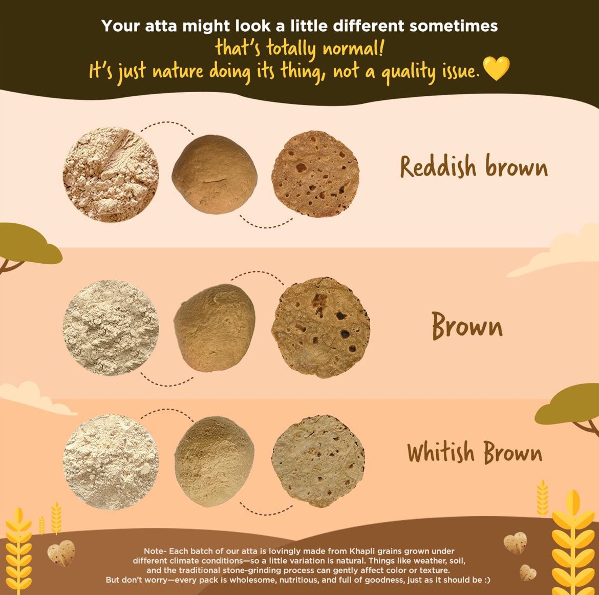 Two Brothers Organic Farms - Khapli Wheat Flour (1 kg)