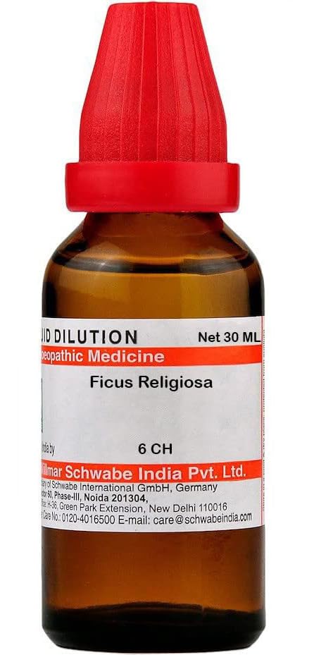 Dr Willmar Schwabe India Ficus Religiosa Dilution - 6 CH |FIRE106F|