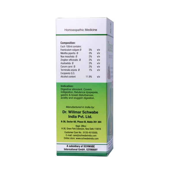 Dr.Willmar Schwabe India Dizester 100 Ml