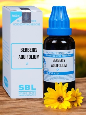 SBL Berberis Aquifolium Q Mother Tincture (30ml) - Set of 1 Bottles