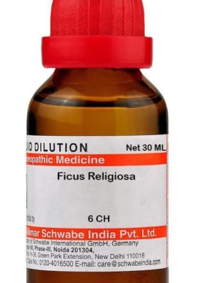 Dr Willmar Schwabe India Ficus Religiosa Dilution - 6 CH |FIRE106F|