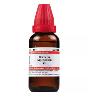 Dr.Willmar Schwabe Berberis Aquifolium Q Mother Tincture, 30 ml